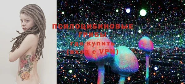 дурь Алексин