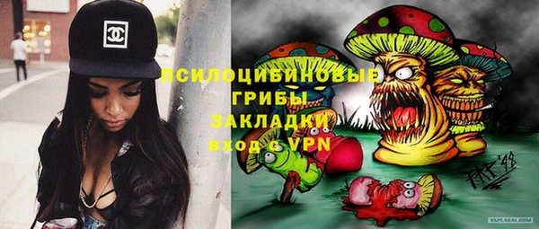 дурь Алексин