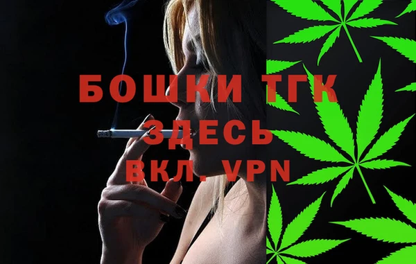 дурь Алексин