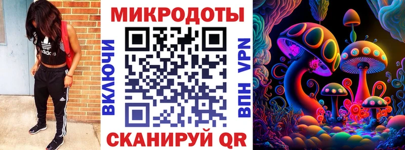 Купить закладки  Кочубеевское  Псилоцибиновые грибы прущие грибы 